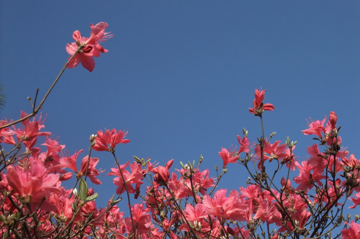 dscf4978.jpg