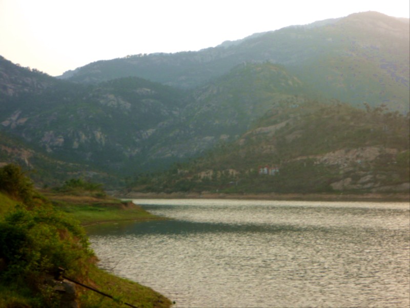 p1000521_.jpg