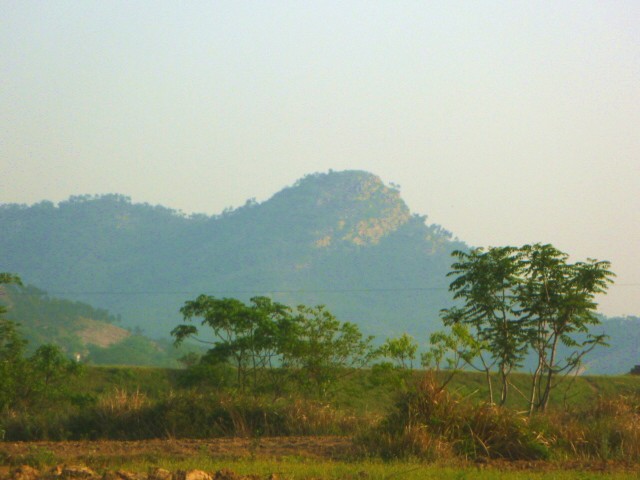 p1000550_.jpg