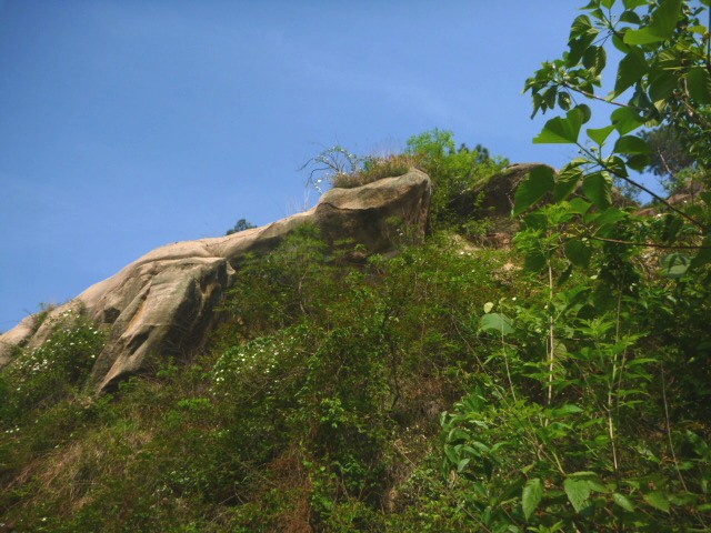 p1000564_.jpg