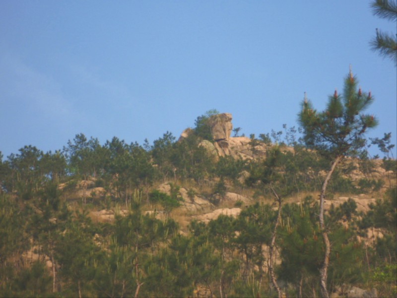 p1000557_.jpg