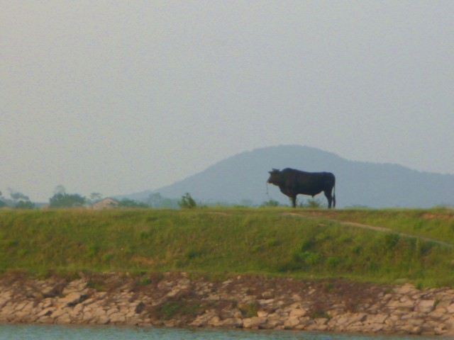 p1000520_.jpg