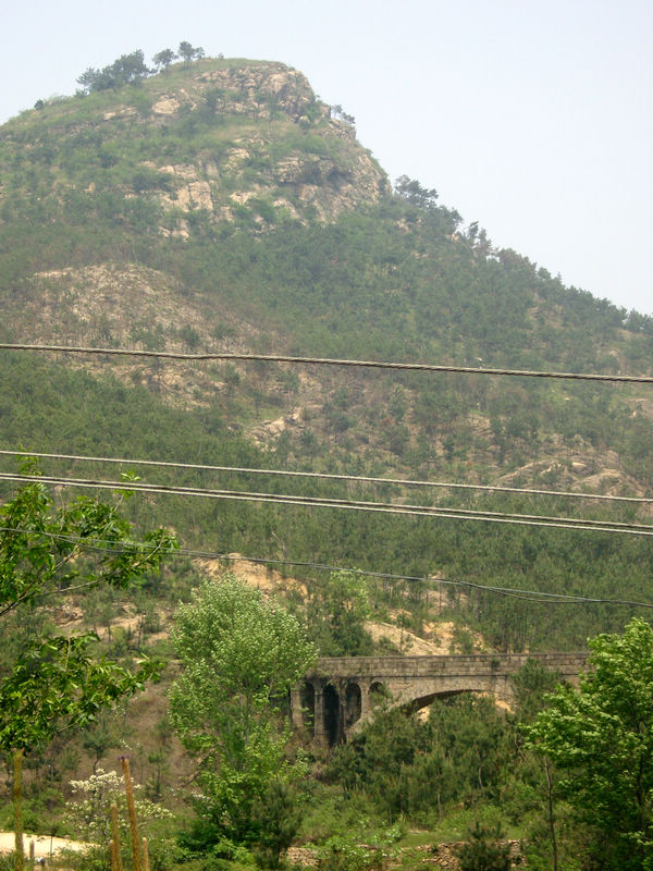  (2) snc10028.jpg