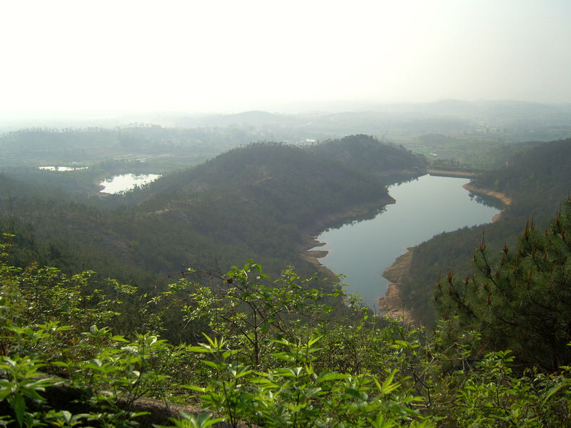  snc10203.jpg