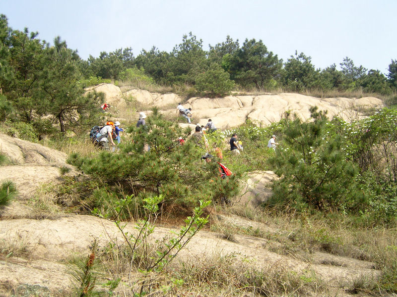  snc10207.jpg
