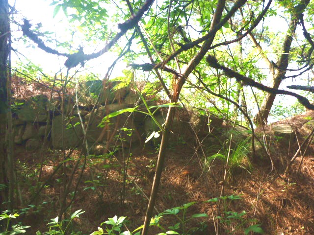 p1000577_.jpg