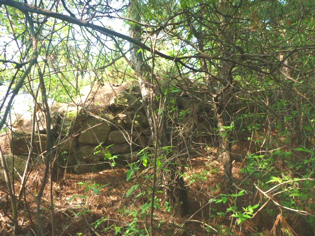 p1000578_.jpg