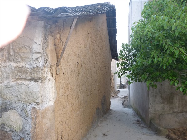p1000538_.jpg