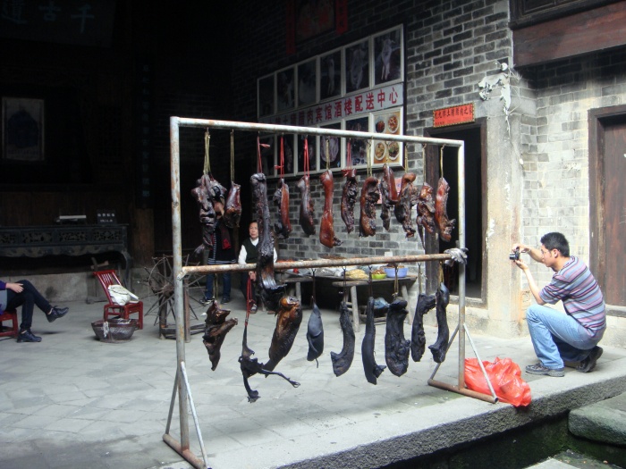dsc07738.jpg