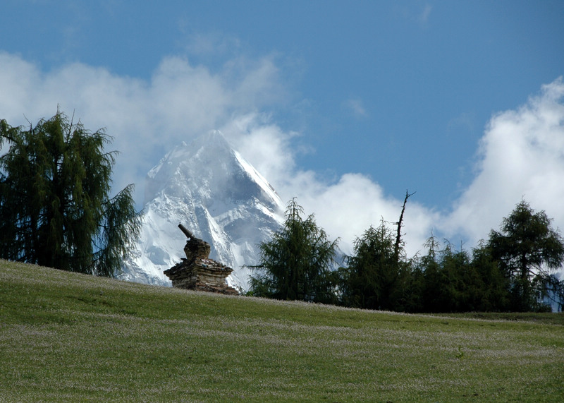 dsc_7274.jpg