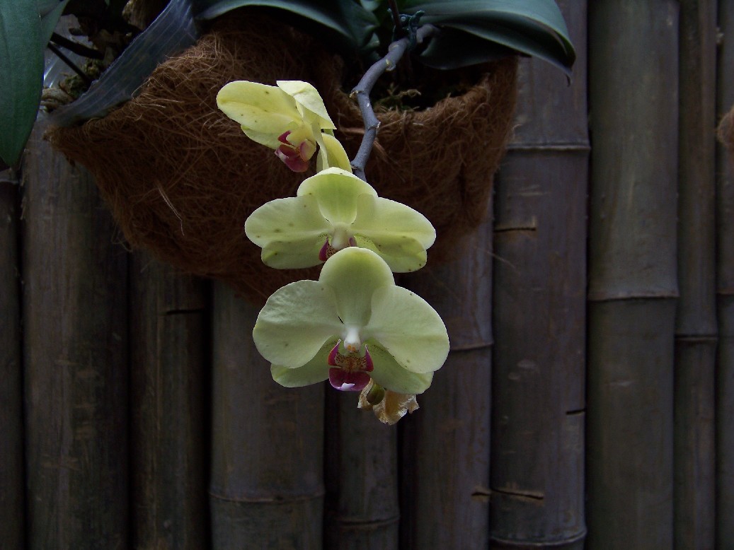 20100527q԰bӡǹ (52).jpg