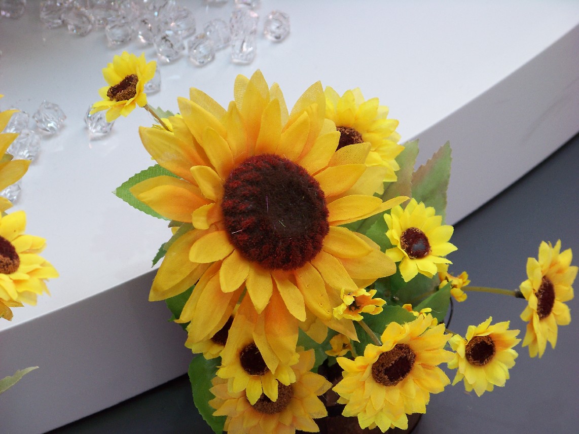 20100527t԰c˹ (21)տ.jpg