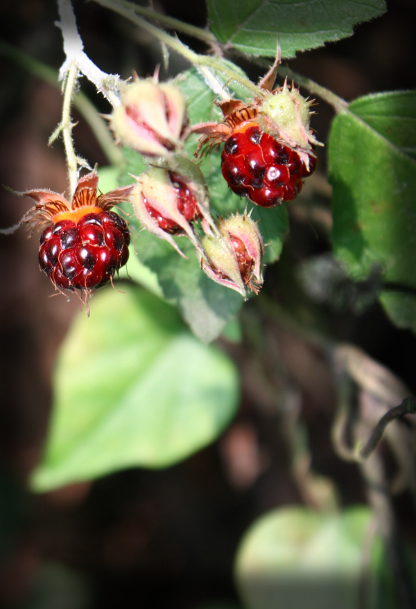 ��Ƭ 027.jpg