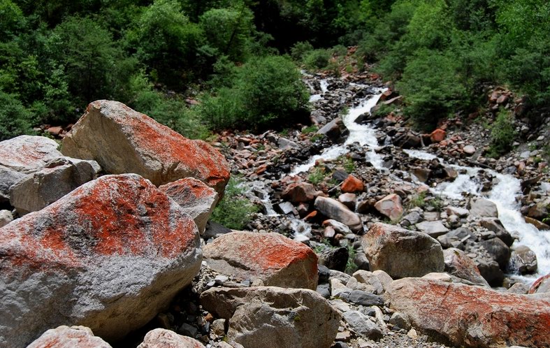 image_113.jpg