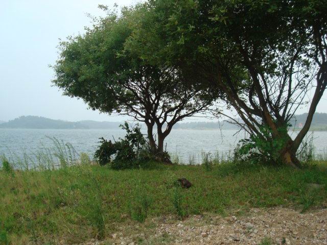 ޱ4.jpg