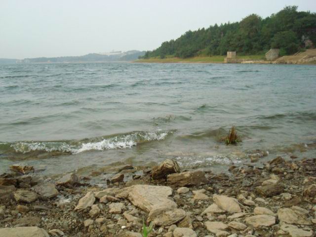ޱ2.jpg