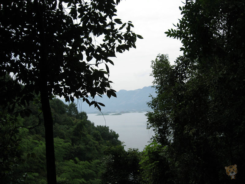 img_5064.jpg