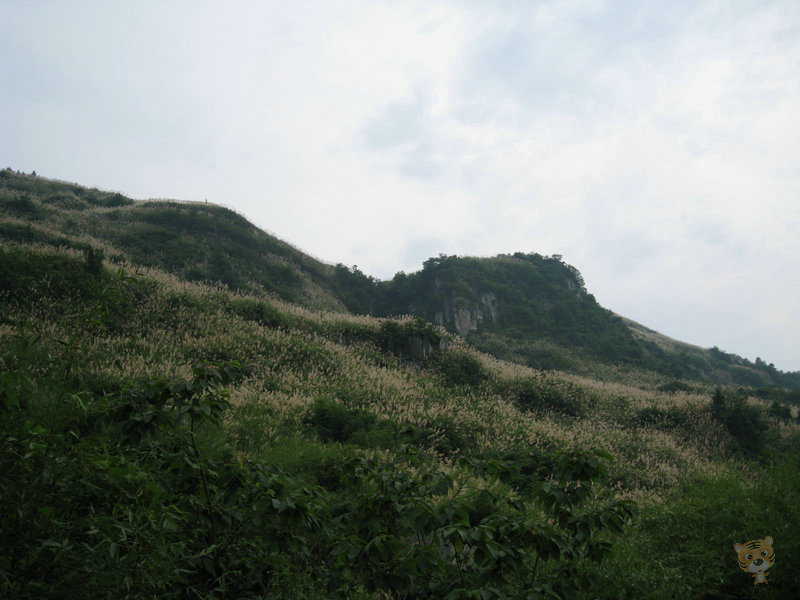 img_5111.jpg