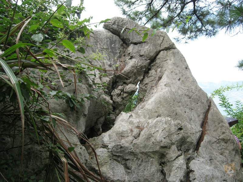 img_5253.jpg