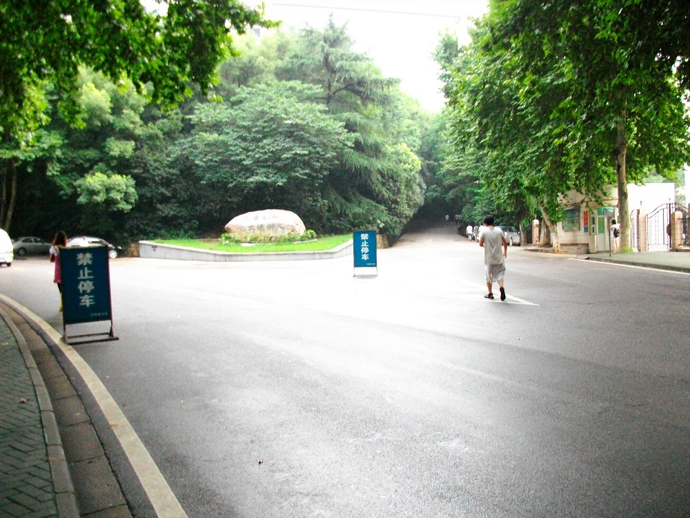 alim3763.jpg