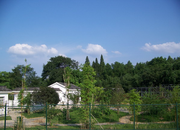 100_1020.jpg