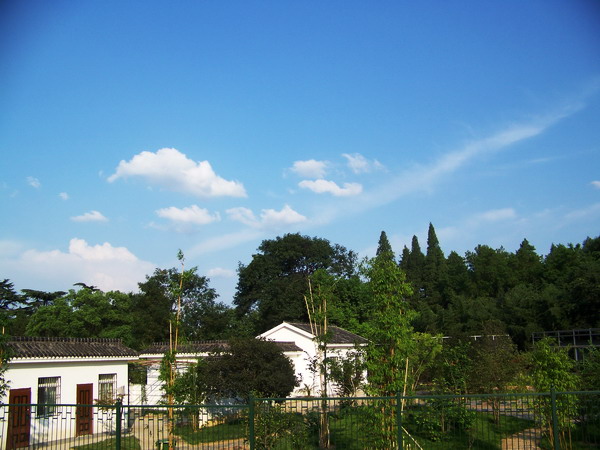 100_1032.jpg