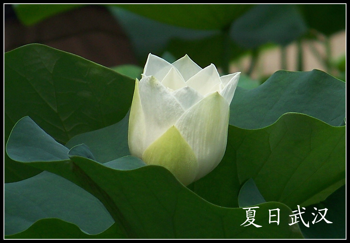 20100703bŹ԰ɻ (20).jpg