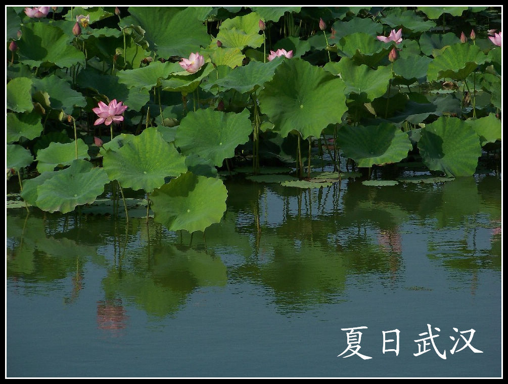 20100701̨Ļhɻ (30).jpg