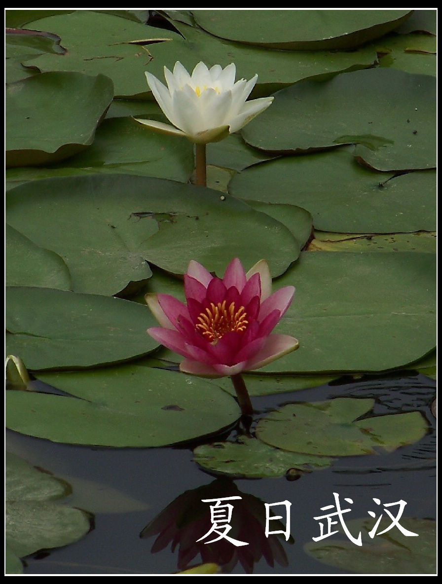 20100703a԰ (14)˯.jpg