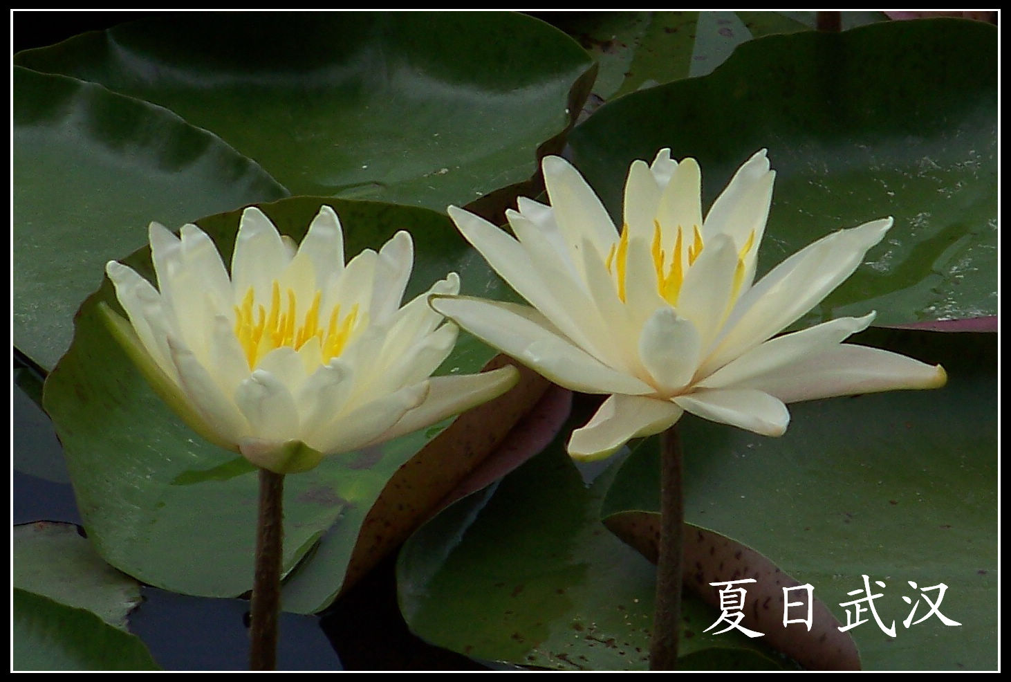 20100703a԰ (12).jpg