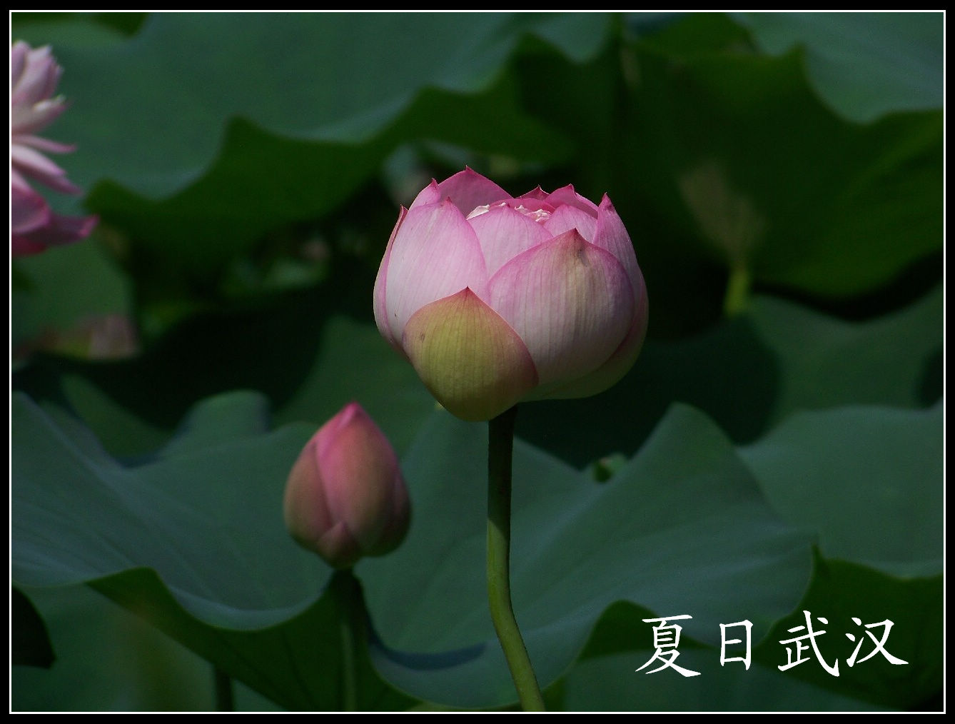 20100703bŹ԰ɻ (23).jpg