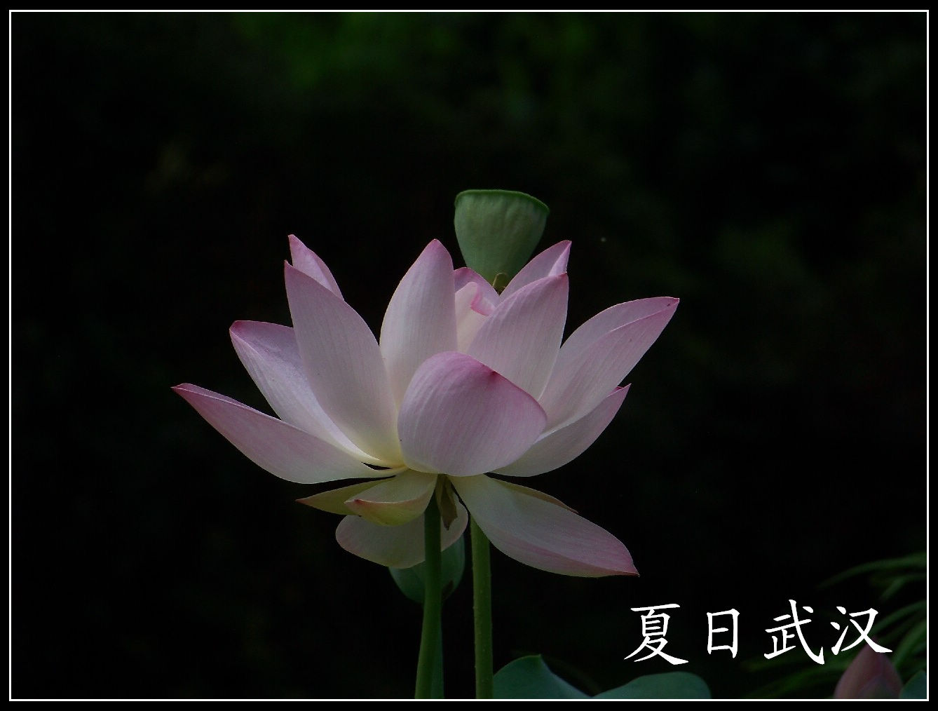 20100703bŹ԰ɻ (24).jpg