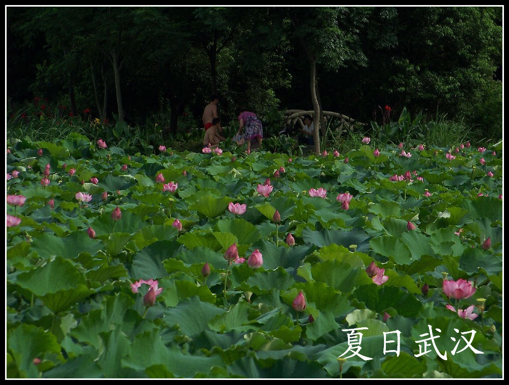 20100717kѾ-ʪع԰ (52).jpg