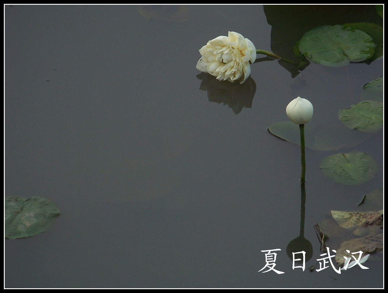 20100717kѾ-ʪع԰ (117).jpg