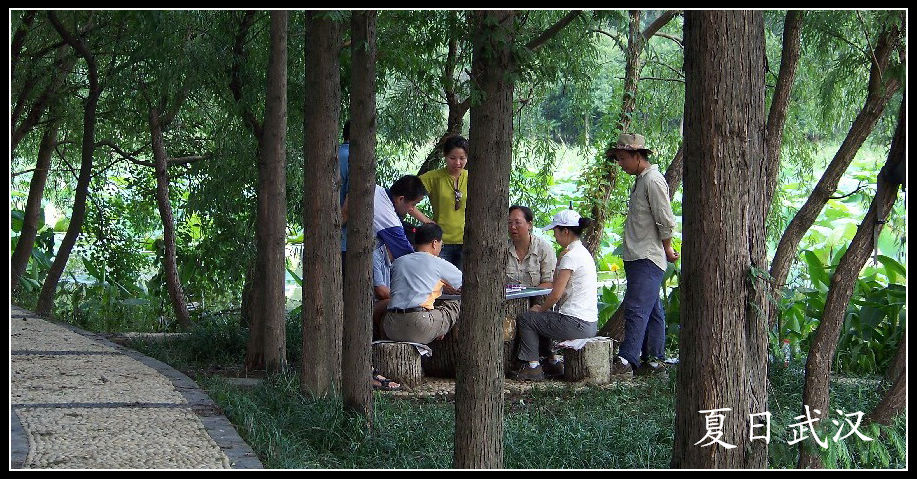 20100717kѾ-ʪع԰ ɻ (21).jpg