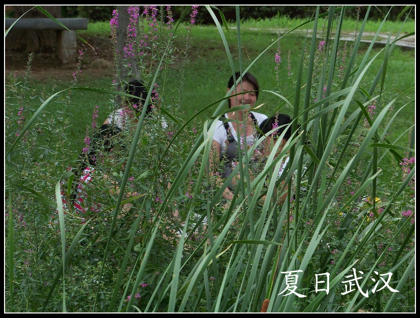 20100717cɽɭֹ԰ɫ (26).jpg