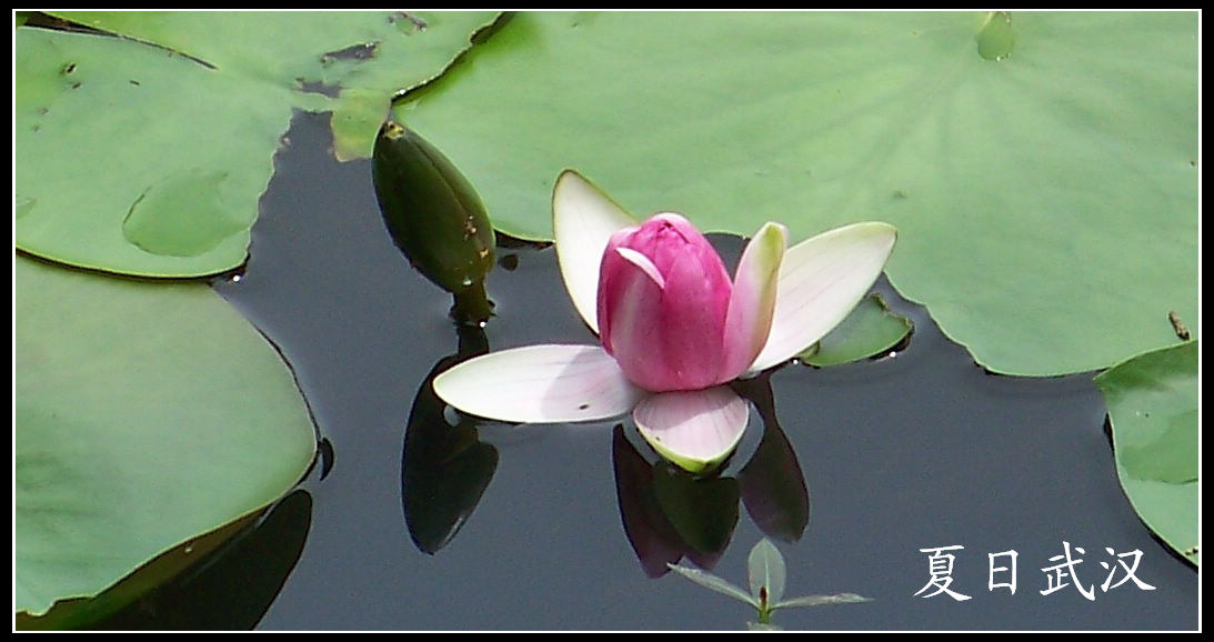 20100717cɽɭֹ԰ɫ (48)x.jpg