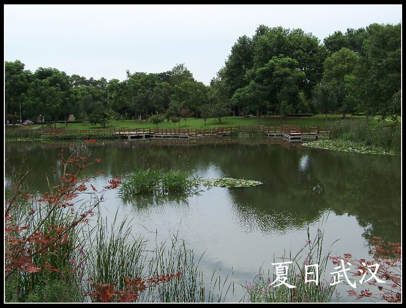 20100717eɽɭֹ԰ɻ (12).jpg