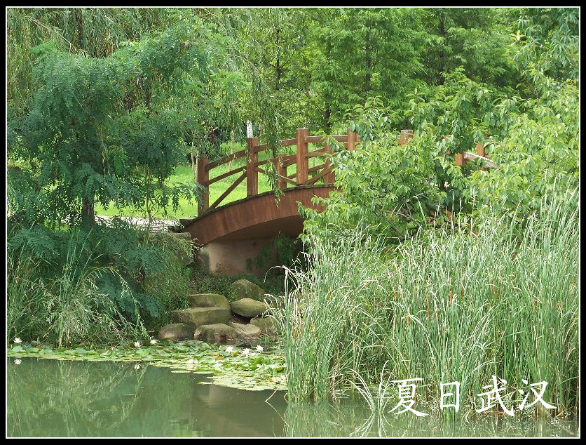 20100717eɽɭֹ԰ɻ (20).jpg