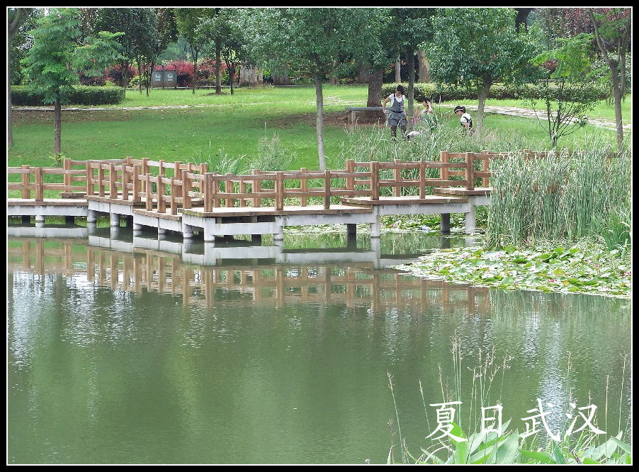 20100717eɽɭֹ԰ɻ (21).jpg
