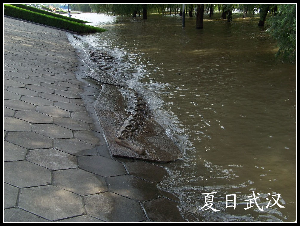 20100718gڽ̲c· (31).jpg