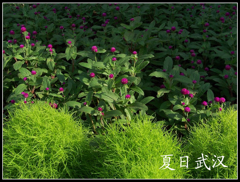 20100718gڽ̲a人˸ (28).jpg