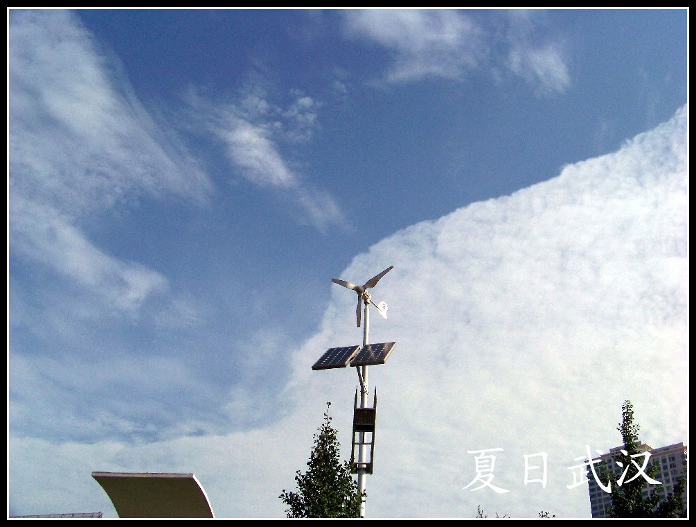 20100718gڽ̲a人˸ (30)bg.jpg