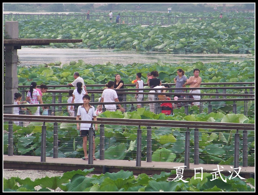 20100724̨ (20).jpg