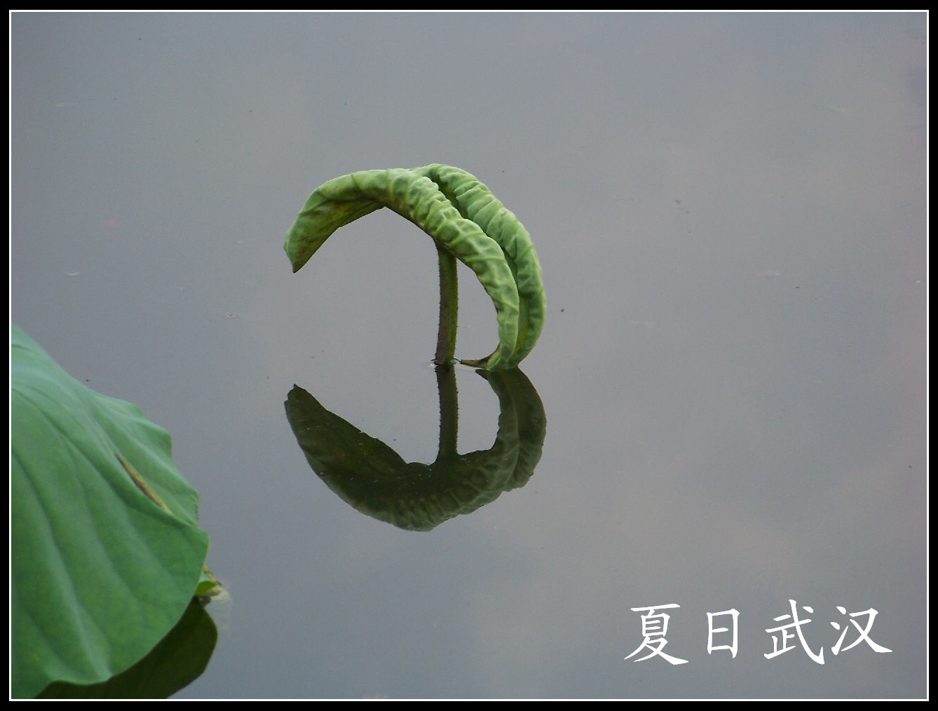 20100724̨ (25).jpg