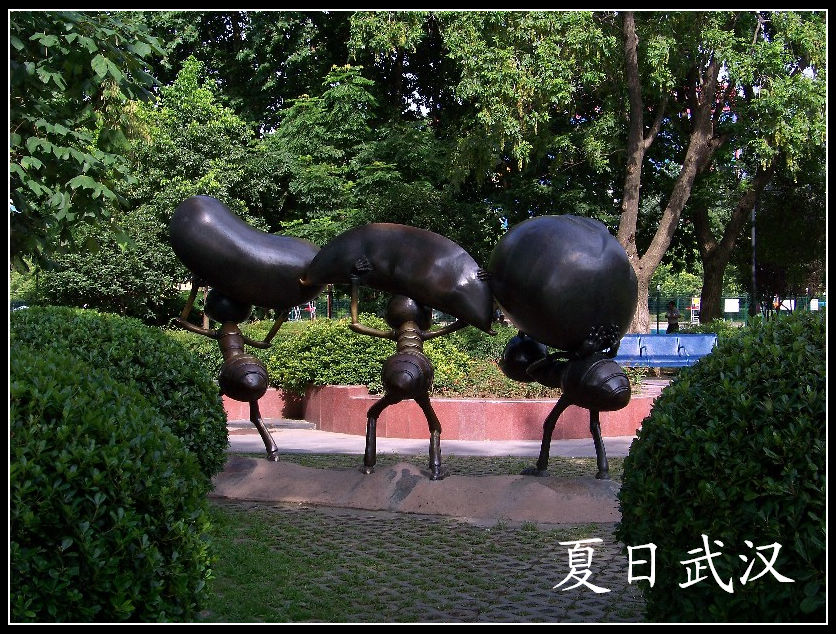 20100718gڽ̲c· (39)͵bg.jpg