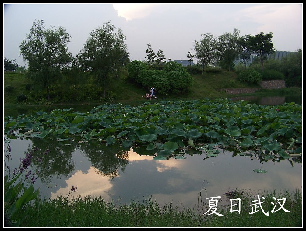 20100724̨ (17)Ϧ.jpg