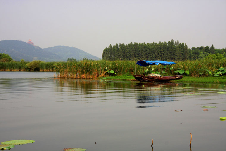 img_7181.jpg