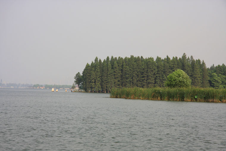 img_7187.jpg
