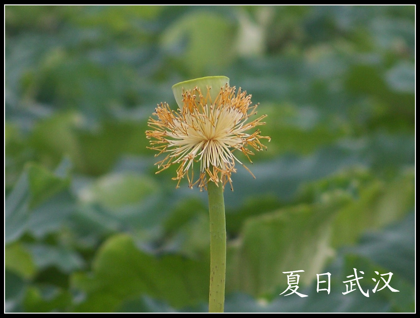 20100724̨ (31).jpg